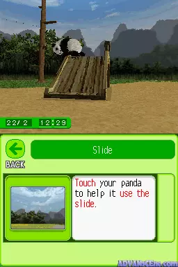 Image n° 3 - screenshots : Petz - My Baby Panda